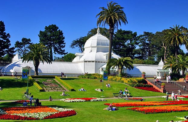 Golden Gate Park Daytime Photo Walk